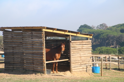 Langverwagt Stable